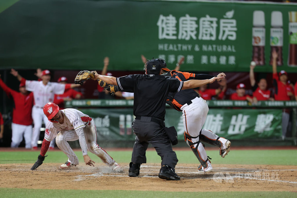 中華職棒味全龍隊26日例行賽與統一獅隊打到延長賽才分勝負，10局下，龍隊張政禹（前左）靠著隊友安打成功回本壘得分、助隊以2比1搶勝，他在看見Safe手勢後振奮吶喊。中央社記者翁睿坤攝  114年8月26日
