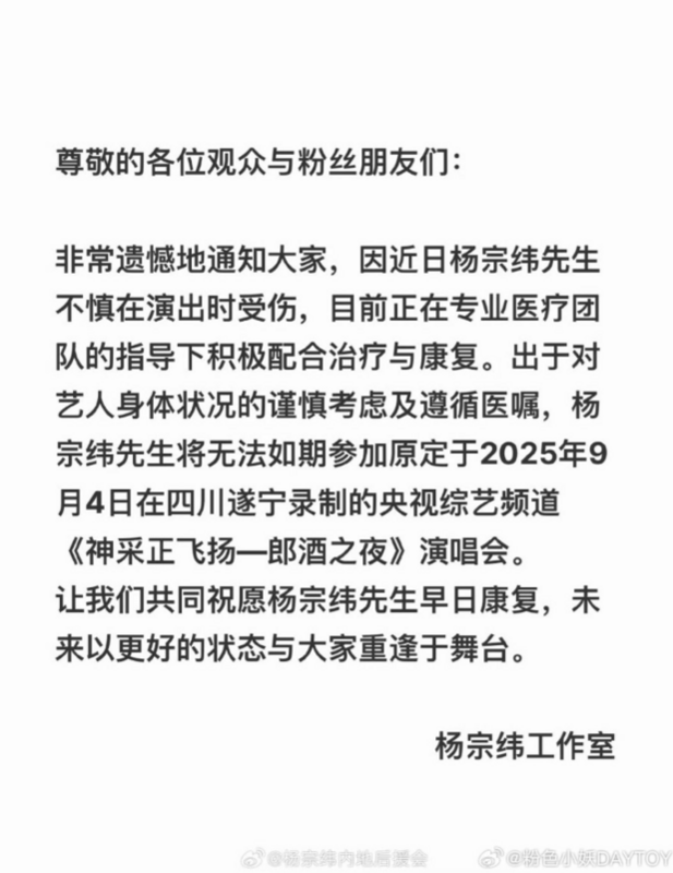 楊宗緯工作室發出聲明，表示楊宗緯因身體因素，需要好好休養，因此將暫時停工。 圖：翻攝自楊宗緯微博