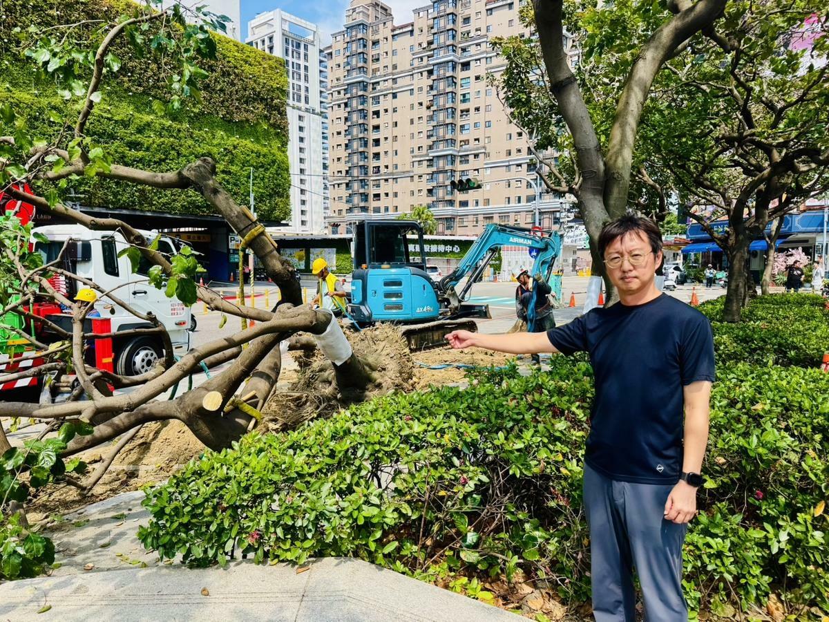 台中市議員江肇國說，建設局亂砍路樹還說謊，要求建設局長陳大田下台。 圖：江肇國/提供