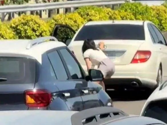 國道推車的女子並未在後方設置故障標示，讓後方車輛緊急閃避。 圖：翻攝自社會事新聞影音