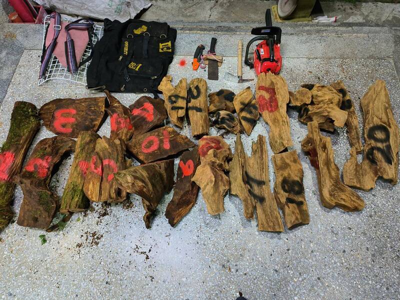 保七總隊近日追查山老鼠集團，最終逮捕2名男子涉嫌盜伐台灣肖楠、金線蓮，該案共起出23塊共94公斤贓木。 圖：警方提供