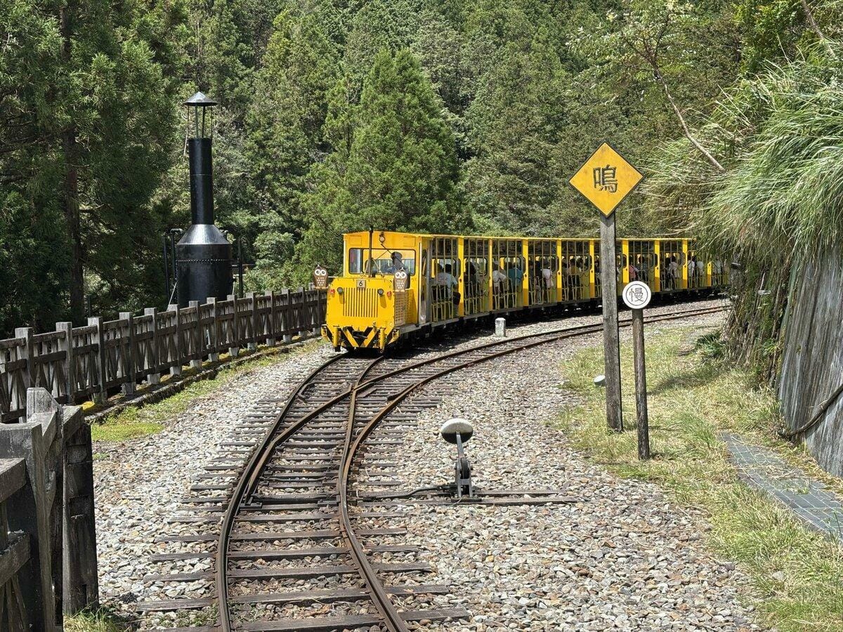 太平山國家森林遊樂區自明10日預警性休園。園內蹦蹦車最後行駛班次為11:30。 圖：林業及自然保育署宜蘭分署/提供