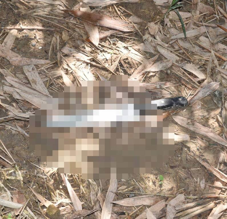 李姓男子7日上午被發現倒臥台中市潭子區路旁，前胸有多處刀傷，送醫不治，警方循線逮捕1名逾期居留的菲律賓男子。（民眾提供）中央社記者趙麗妍傳真 114年9月9日
