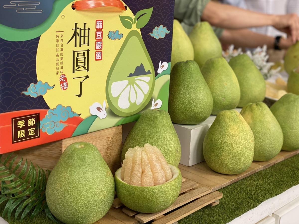 今年台南文旦產量大幅減少，歷經風災淬練後的文旦非常珍貴，購物平台歷年秉持「挺農民、助在地」的精神，特別挑選品質穩定、果型飽滿、香氣濃郁的文旦，藉由直播平台推廣給全國消費者，幫助果農拓展通路，穩定收益。 圖：台南市政府提供