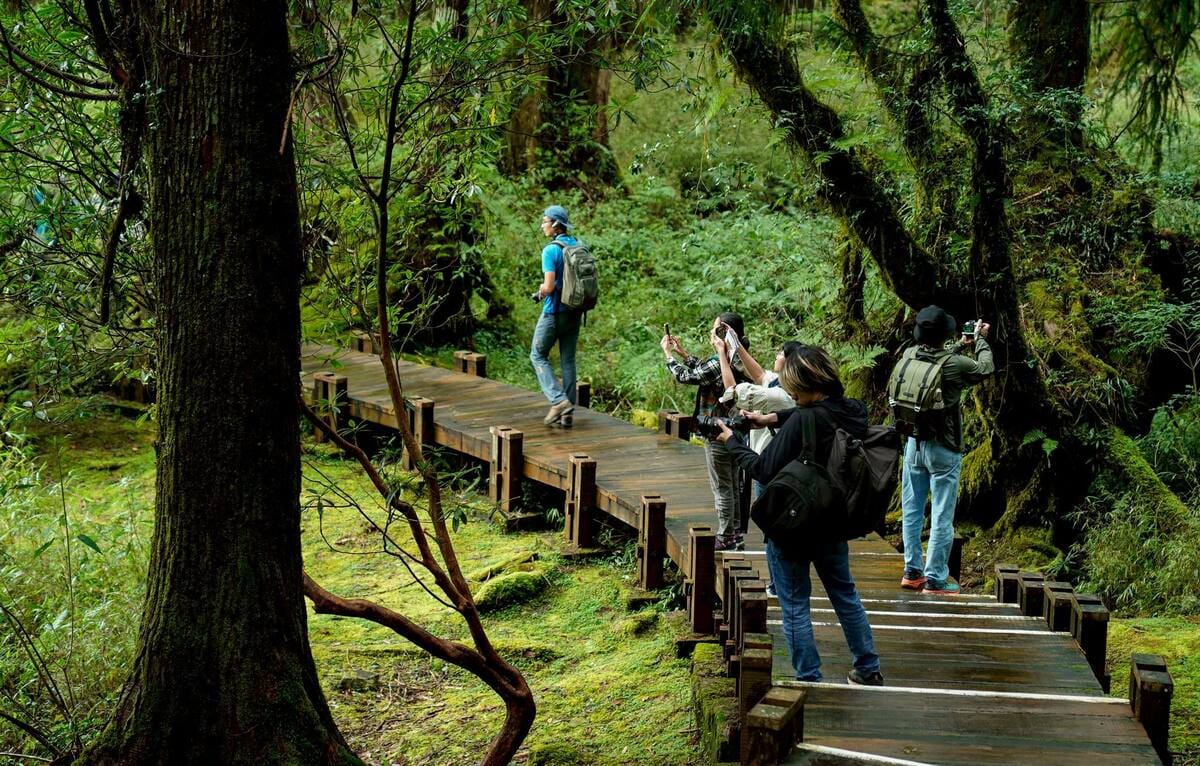 入秋後的天氣適合外旅遊，許多民眾規劃前往阿里山國家風景區。 圖：取自「阿里山國家森林遊樂區」臉書粉絲專頁