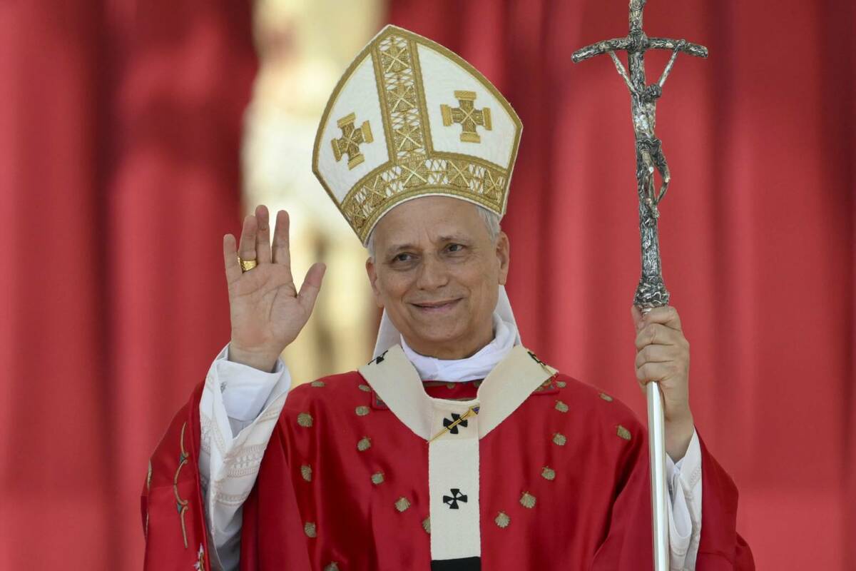 教宗利奧（Pope Leo XIV）。 圖：翻攝自Ｘ／@muskonomy