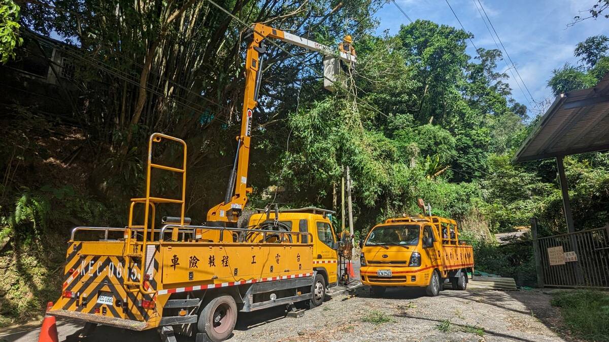 台電進行樹木修剪以降低可能災害。 圖：台灣電力公司提供