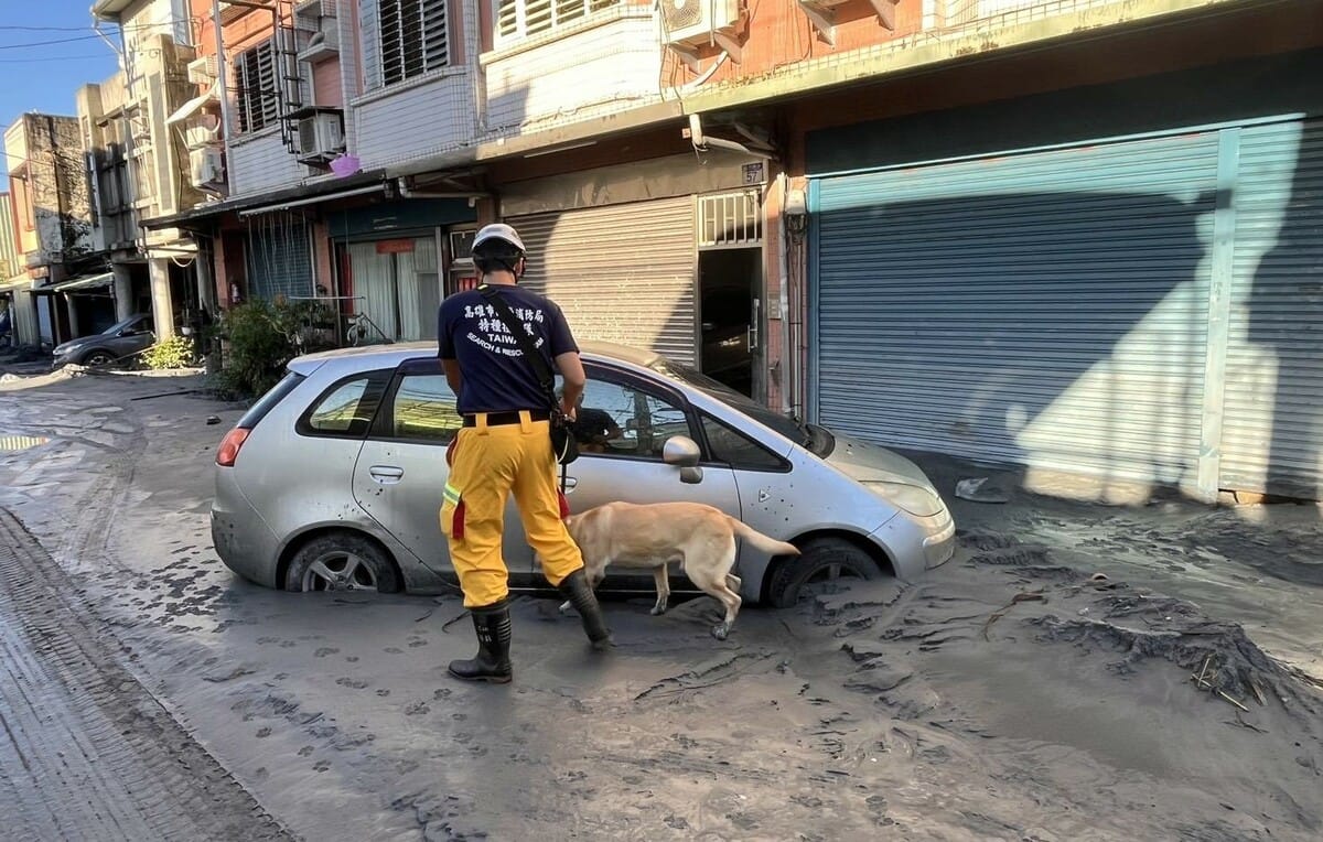 特種搜救隊人員帶著搜救犬展開搜尋失蹤民眾的任務。 圖：高雄市消防局/提供