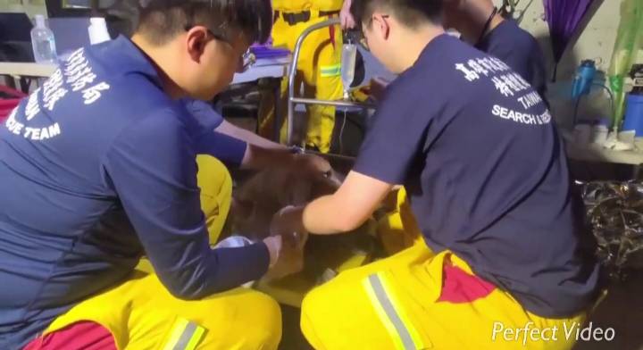 特種搜救隊員給予獲救犬隻皮下注射抗生素及乳酸林格氏注射液、雙眼紅黴素治療。 圖：高雄市消防局/提供
