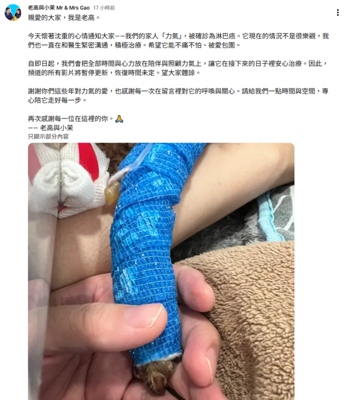 「老高與小茉」透露頻道停更原因，是為了陪伴家中罹患淋巴癌的愛犬「力氣」。 圖：翻攝自老高與小茉 Mr &amp; Mrs Gao YT頻道