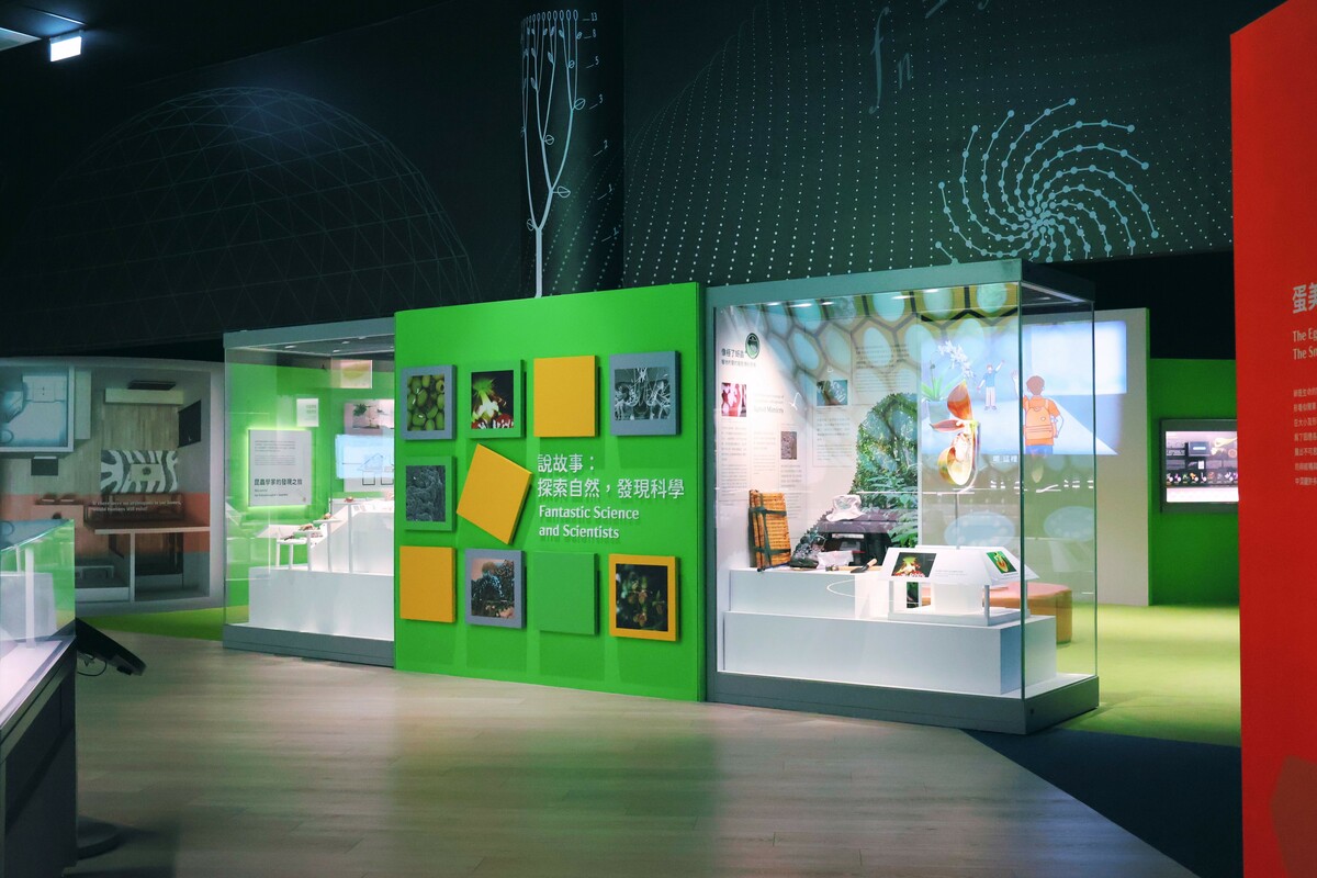 科博館去年翻新的常設展區《奇幻自然》，2026年也開放每週五下午2點到5點免費參觀。 圖：國立自然科學博物館／提供