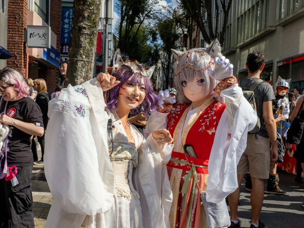 貓妖祭一景。 圖：化け猫フェスティバル/提供