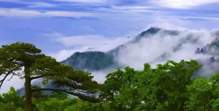 天目山景區。 圖：翻攝自 騰訊新聞