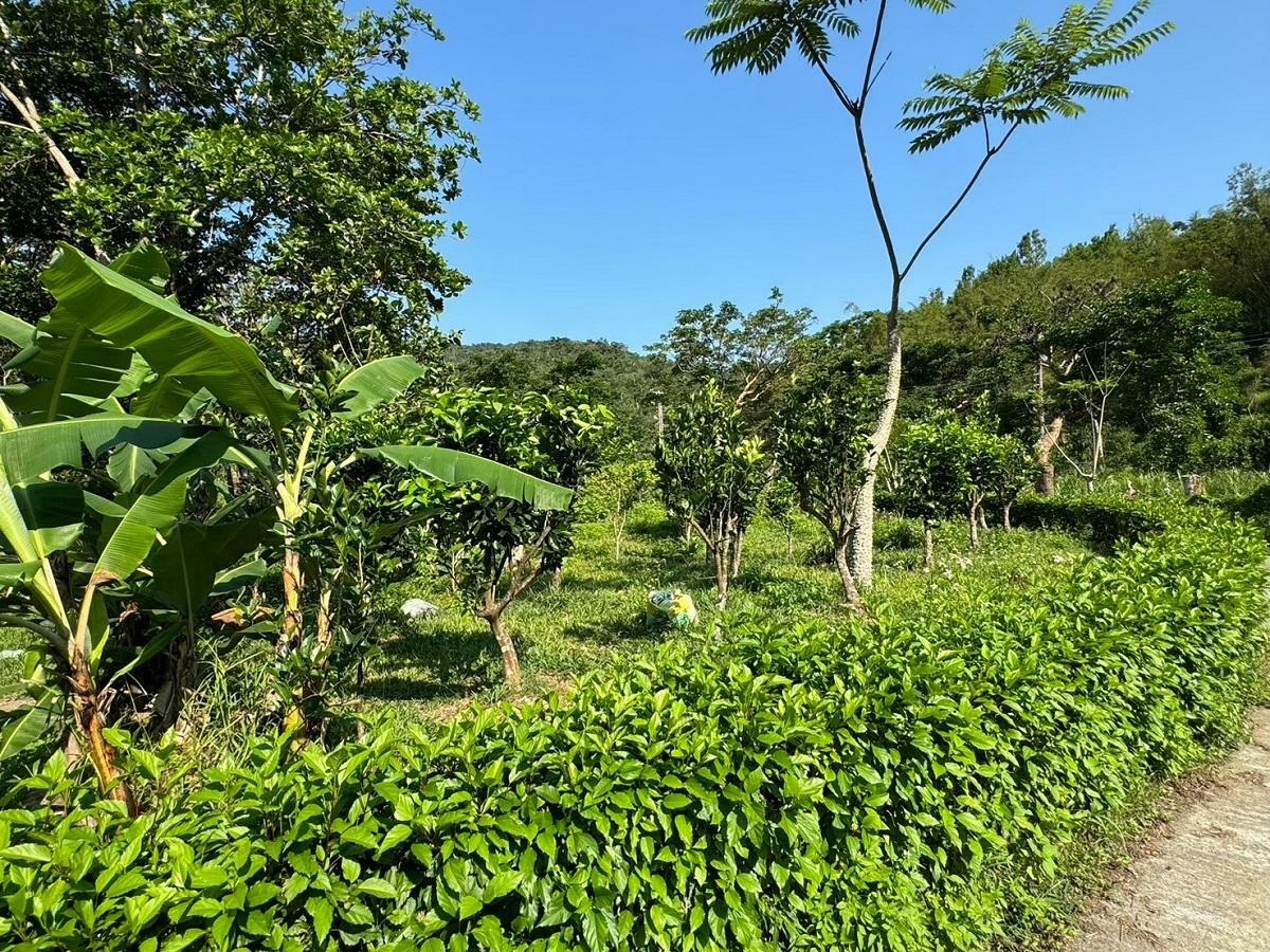 位於屏東縣牡丹鄉的高士部落是國內少數保有傳統「家庭農園」耕作文化的社區。 圖：林業試驗所／提供