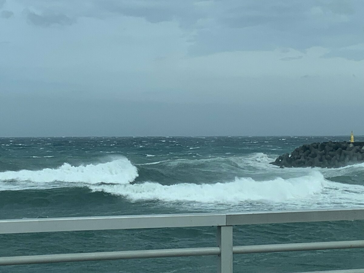 中颱哈隆目前正在日本東南方海域活動，日本氣象廳緊急針對伊豆群島發布強風、大浪特別警報，呼籲民眾關注颱風可能帶來的威脅。 圖：翻攝自 @yojibay X 帳號