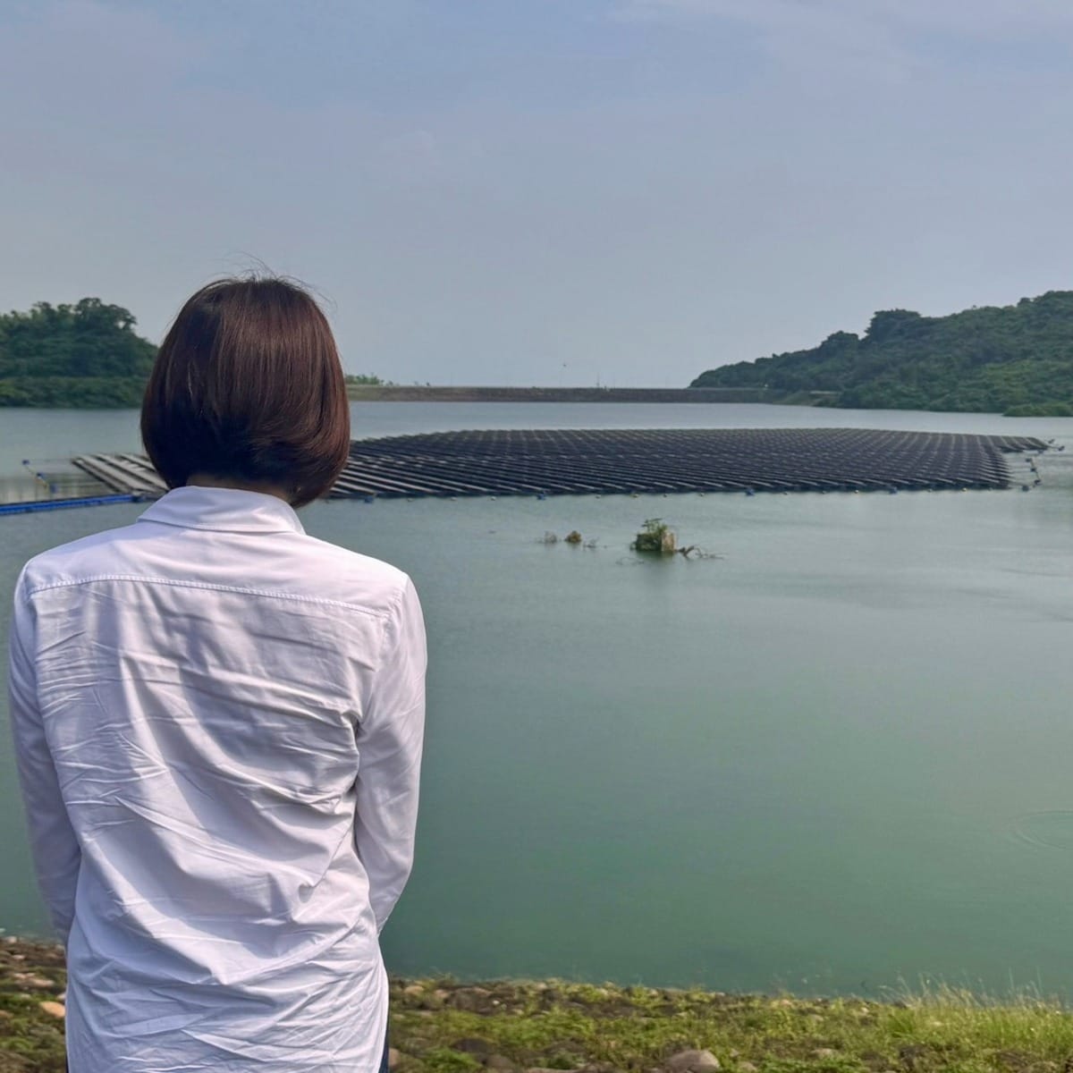 國民黨立委陳菁徽於國慶連假期間接獲陳情後，赴鳳山水庫發現已蓋滿光電板。 圖：擷取自陳菁徽臉書