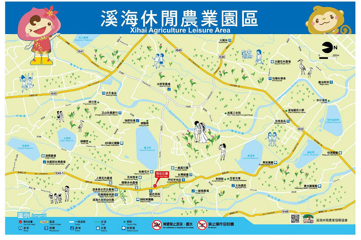 結合地方農友與政府力量持續壯大的溪海，未來或許將成為花卉重鎮、花卉觀光的主要景點吧！ 桃園彩色海芋季官方網站／提供