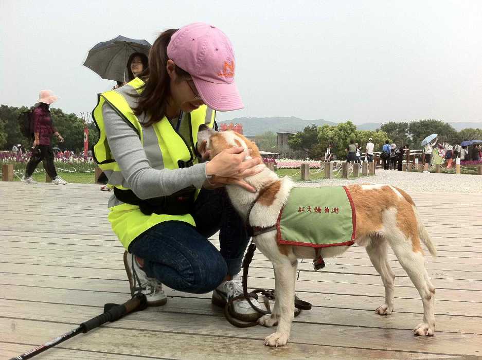 13日是紅火蟻偵測犬Giant在花博園區的最後執勤日，牠和領犬員親密互動的情況。圖片來源：花博營運總部提供
