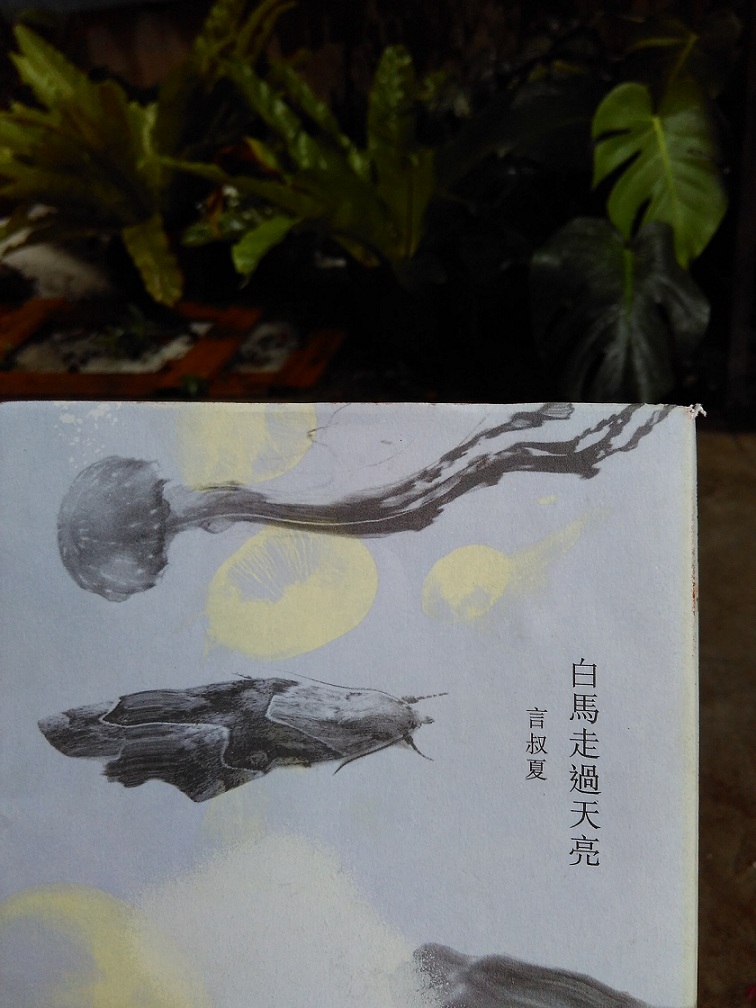 言叔夏的作品《白馬走過天亮》。圖：三餘書店提供