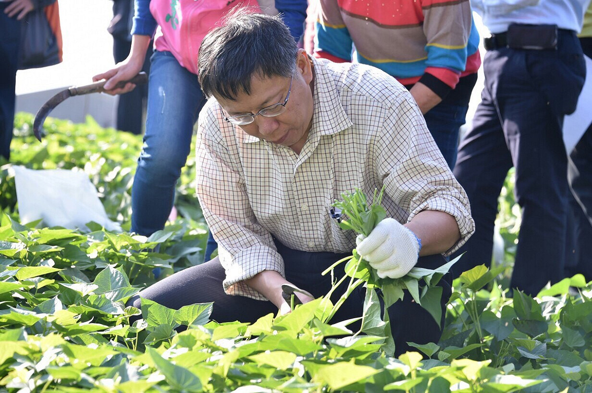 台北市長柯文哲28日在社子島體驗當地居民生活。圖：北市府提供