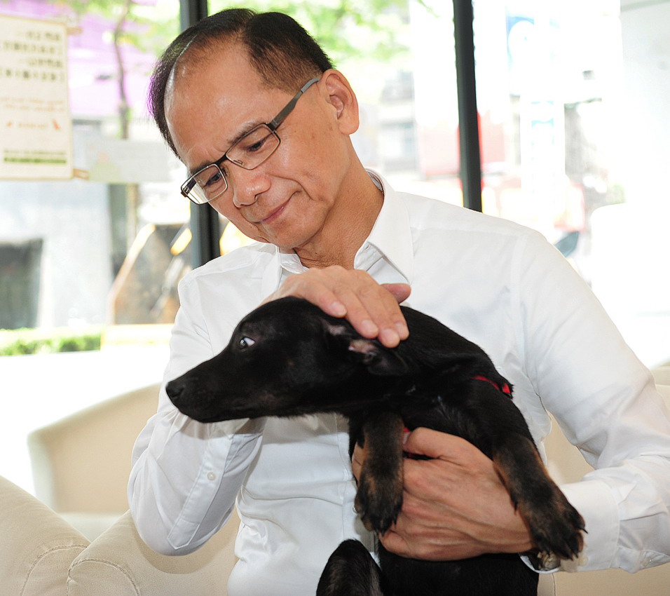 民進黨新北市長參選人游錫堃今（13）日抱著黑色的台灣土狗皮蛋，召開動保相關政策的記者會，希冀藉由TNR（誘捕、絕育、釋放）的制度，解決新北市流浪動物的問題。圖：陳冠廷/攝