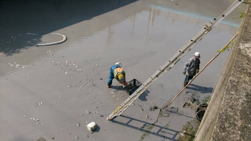 高雄市26日晚上熱泥漿噴發，泥漿從溝渠順流進入鳳山溪，高雄市水利局27日啟動放流水補注水源，以稀釋混濁河水。圖：高雄市水利局提供