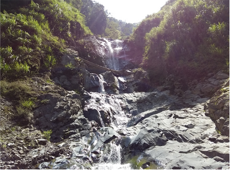 針對北市府直指南勢溪水質混濁是因東札孔溪崩塌造成，林務局12日晚間否認此說法。圖：林務局提供