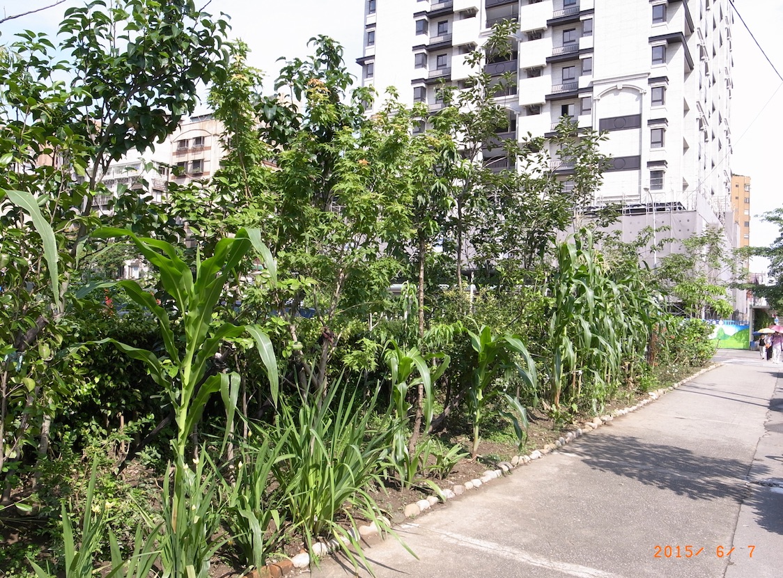 台北市政府到底想給市民們一個怎樣的都市景觀？想讓外來客對台北留下什麼樣的城市印象呢？圖：陳世明/攝