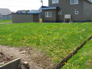 日本北海道深川市為了吸引更多人移居，推出特定區域，100坪住宅用地只賣980日元。圖：翻攝深川市政府官網