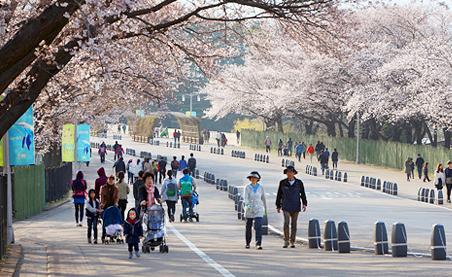 韓國政府希望打造清廉形象，維持社會和諧秩序。圖：翻攝韓國觀光公社網站