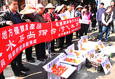 受到大陸山寨版摩天嶺甜柿的威脅，台中縣農民22日將摩天嶺甜柿、高接梨等農產品陳列在江陳會地點裕元酒店旁路口，邀大陸海協會會長陳雲林品嚐真正的台灣優質水果。圖片來源：中央社