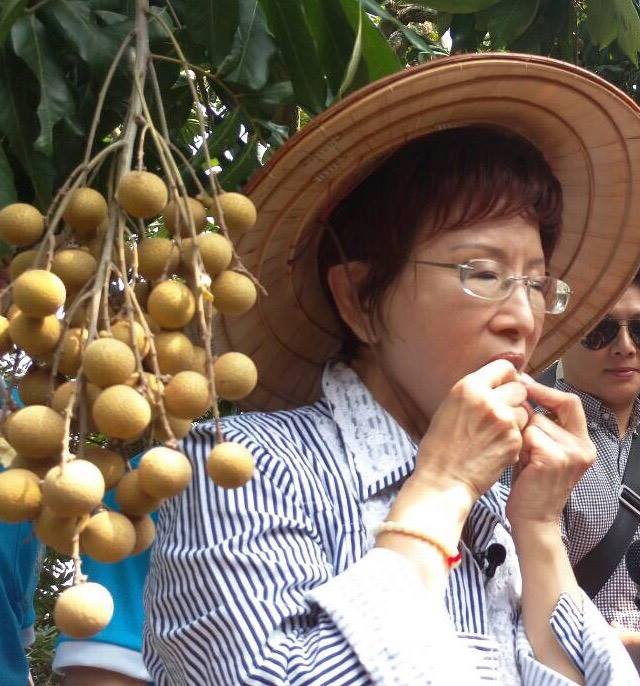 洪秀柱1日到台南東山區羅瑞欽果園，與果園主人一起採摘當季龍眼。圖：翻攝自洪秀柱臉書
