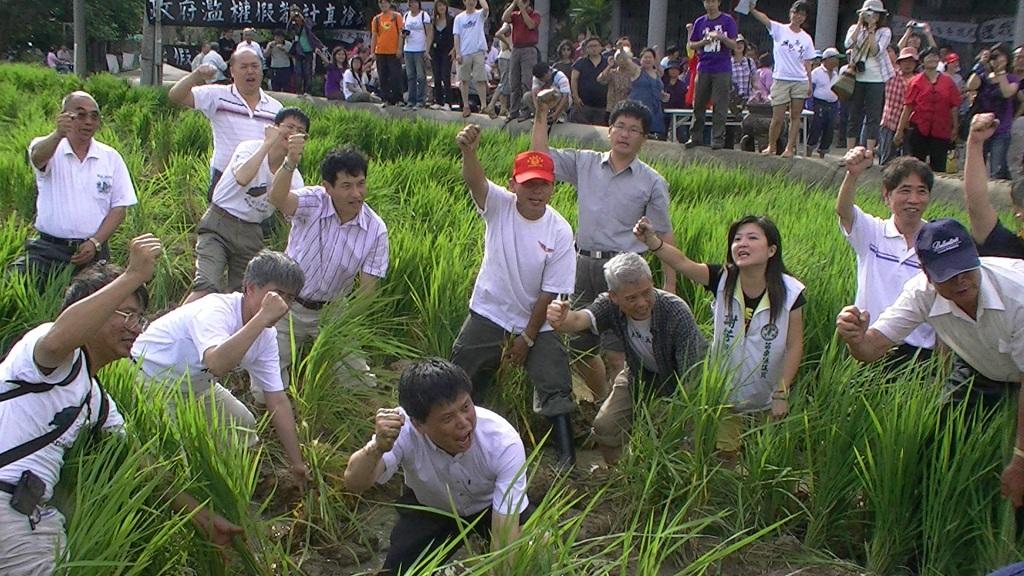 6月19日大埔自救會會長陳文彬在家中召開記者會，現場許多學者和農民下田將稻草扶起來，並一起大喊農民團結。不過，今天上午，他們所站的這塊田地，已經遭到警方及怪手全部剷平，不復青翠景象。圖片來源:莊豐嘉/攝影