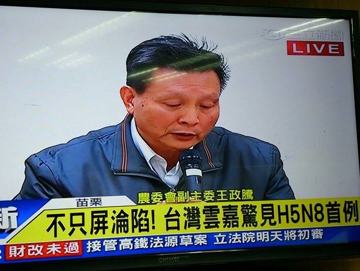 農委會副主委王政騰11日下午召開記者會指出，已確認驗出「新型H5N2禽流感」、「H5N8亞型禽流感」。圖：翻攝自三立新聞台
