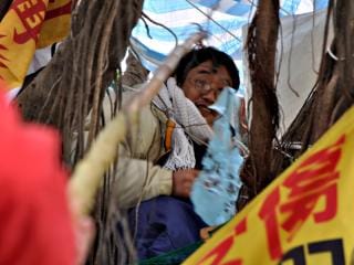 以肉身護樹的潘翰疆，在樹上與警方對峙長達268個小時。圖片來源：中央社資料照片。