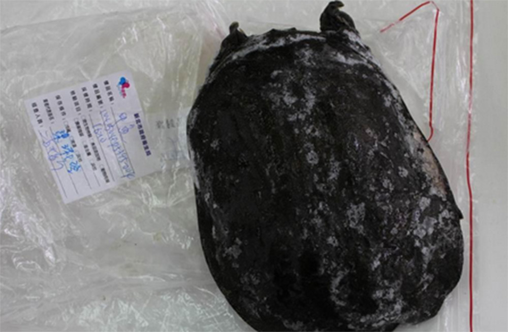 食藥署28日公布禽畜水產品抽驗結果，甲魚的不合格率高達4成，連知名餐廳點水樓都中鏢。圖：食藥署提供