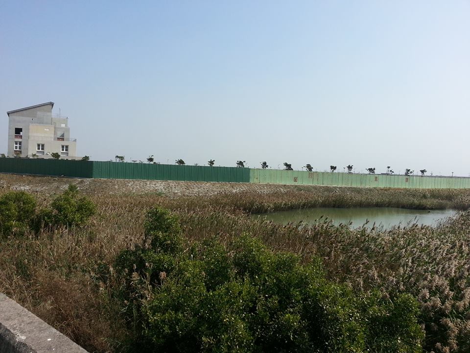 台南大學七股校區，原是漁塭地，地勢低漥，120公傾校地低於海平面兩三公尺，經過多年整地、填平，與鄰地形成對比，但仍可以看出原本地貌。圖:陳江鈴/攝