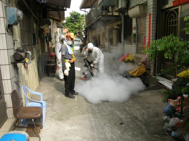 疾管署2日表示，19例疑似登革熱的死亡案例中，有10例確認為登革熱致死。圖：中央社資料照片