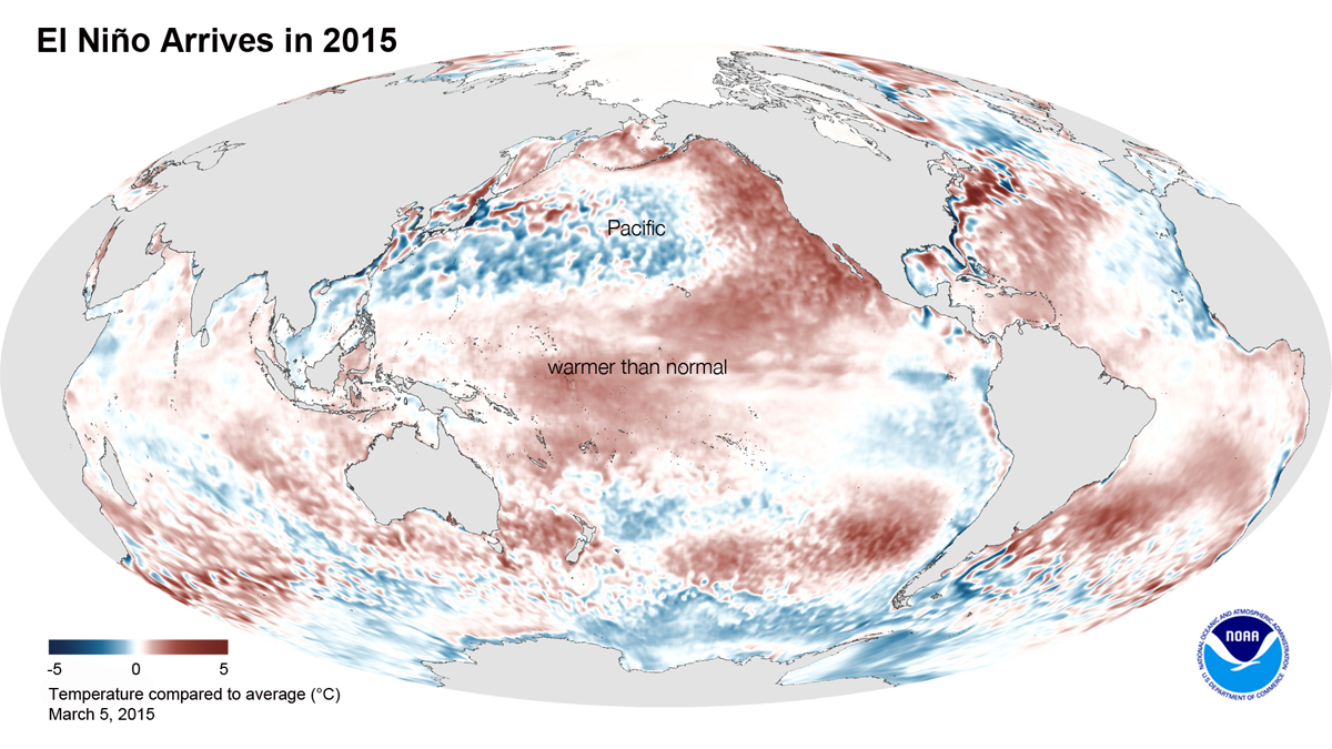 英國「國家大氣科學中心」(NCAS)最新報告顯示，「2014、2015、2016非常可能名列史上最暖熱之年」。此為之前公布的2015聖嬰現象圖。圖：翻攝官網