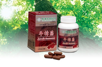 長庚生技牛樟菇膠囊今（31）日遭食品工業研究所驗出含有塑化劑，食品GMP認證也隨即被撤銷，對此結果長庚生技公司表示，這個結果讓人無法接受。圖片來源：翻攝自長庚生技公司網站