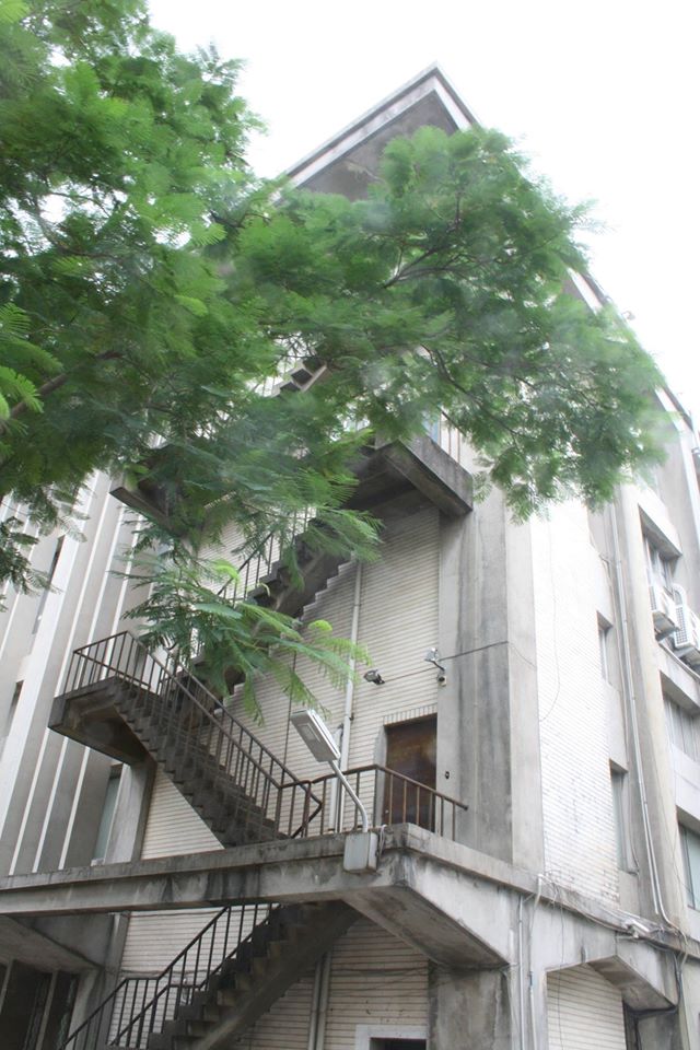 台大學生會今(14)日提議，將陳文成事件的案發地點命名為「陳文成紀念廣場」，獲得校方原則同意。圖為陳文成事件在台大校園中的事發現場。圖：翻攝自陳文成臉書。