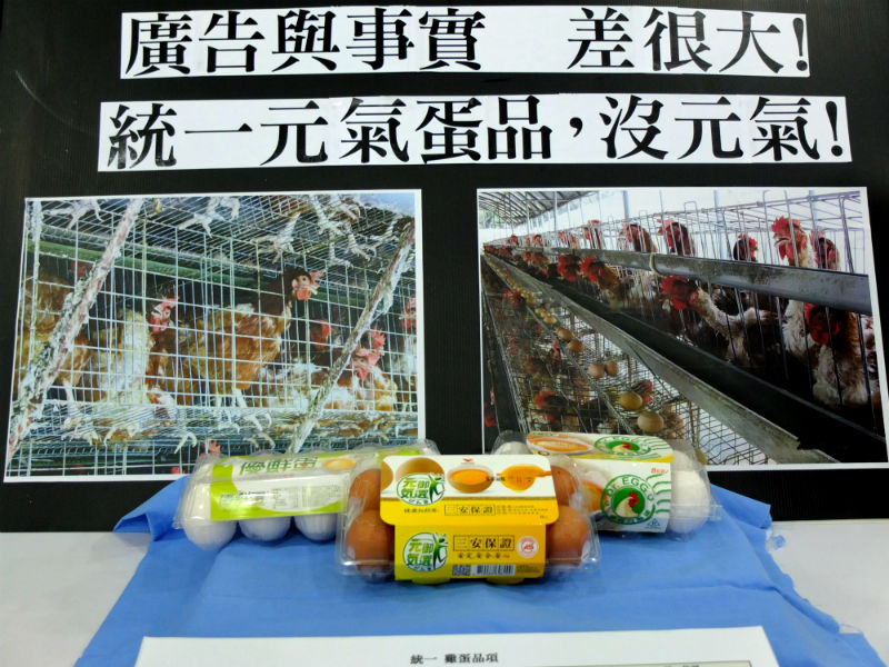 統一味全的雞蛋標榜自然高品質，台灣動物社會研究會今(7)日指出，兩大廠的雞蛋是來自格子籠，與廣告內容差很大。圖：翁嫆琄/攝。