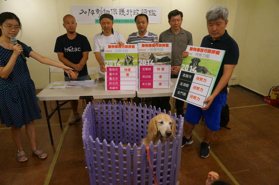 金門收容所平均一隻狗狗只有0.21坪的空間，也沒有給予狗狗放風時間。動保團體今（16）日召開行政評鑑公布記者會，狗模特兒Hash現場親自體驗，收容所過小的籠子使牠寸步難行。  圖：張容瑄/攝