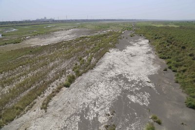 高雄地區拜鋒面過境，降下甘霖，原本地表乾裂、雜草叢生的高屏溪終於解渴，下周「供5停2」也可望暫停。圖：中央社
