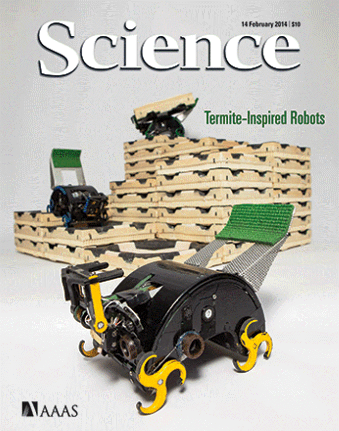 美國科學期刊《科學》(Science)這期的封面為白蟻為原型製作的自律型機器人。圖片來源：《科學》(Science)官方網站。