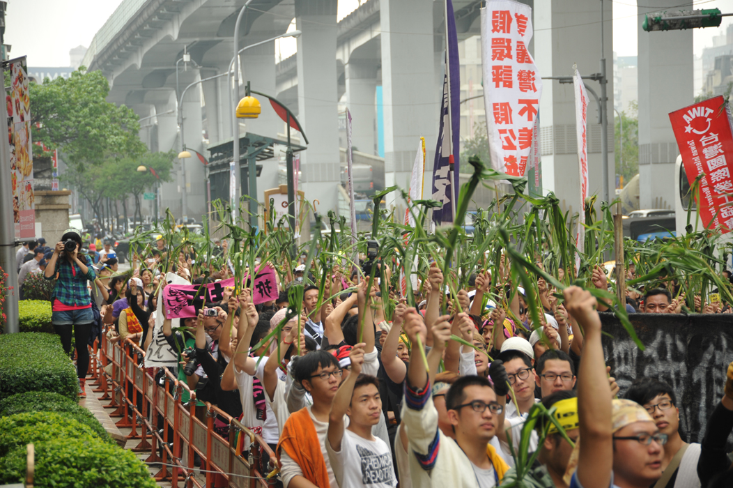 遊行隊伍特別經過市民大道上的美麗信花園酒店，眾人手持一束芒草奮力高舉，對財團開發美麗灣以及政府無能表達抗議。圖：楊宗興/攝