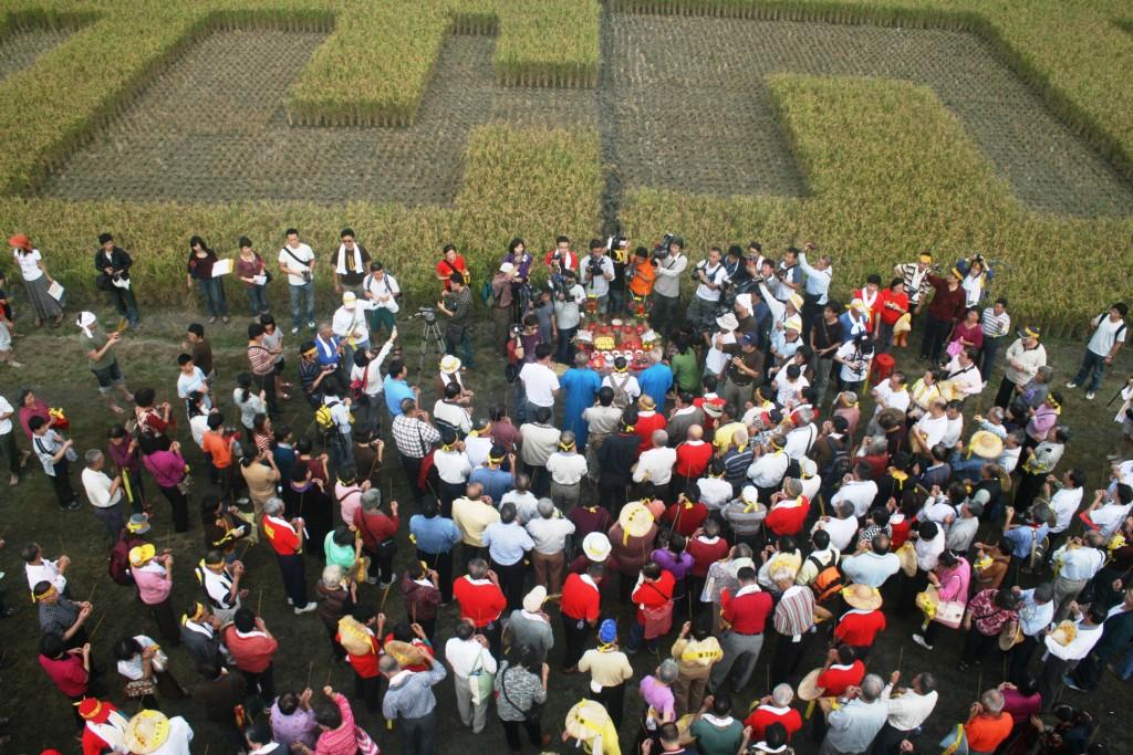 凱稻前的人、農地與天的關係。圖片來源:莊豐嘉攝影