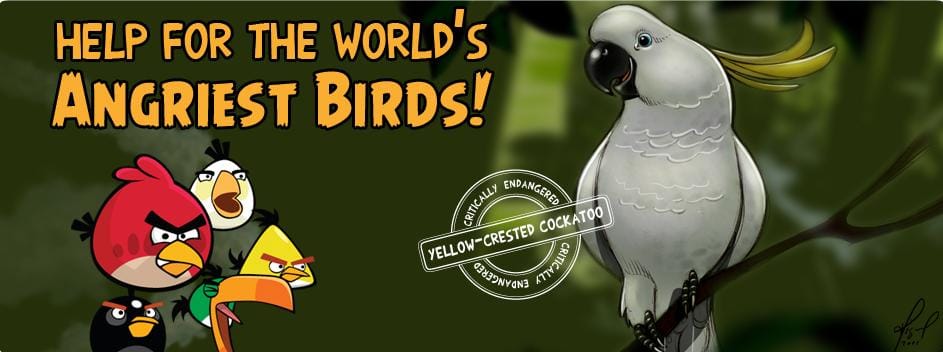 創造Angry birds的芬蘭羅維奧娛樂有限公司與國際鳥類聯盟合作，聯手拯救世界瀕危鳥類，並為此推出新版遊戲。圖片來源：翻攝自網路。