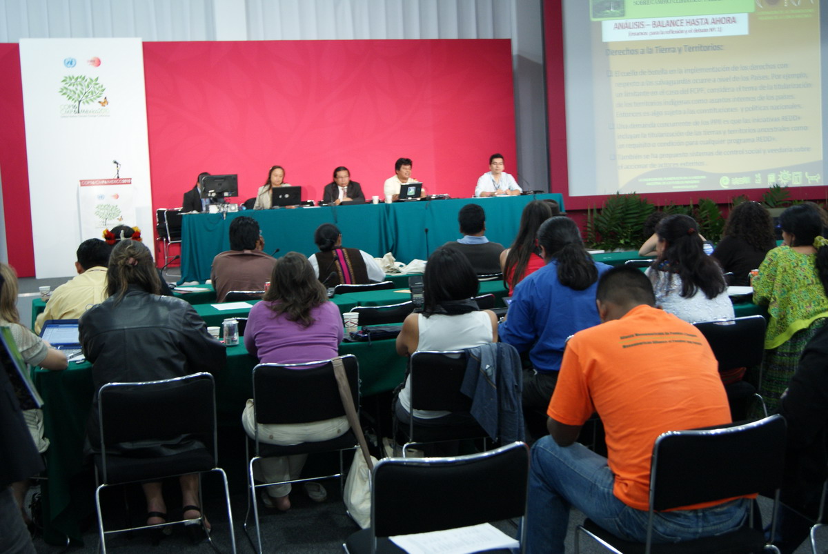 國際原住民氣候變遷論壇(IIPFCC)在京都議定書特別工作會議閉幕發言時表示，作為唯一一個具有法律約束力的協議，必須確保已開發國家採取真正行動減少碳排放。圖片：潘紀揚攝。