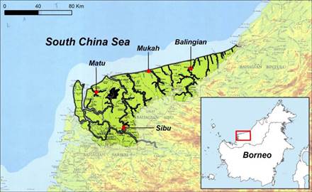 國際濕地組織稍早在砂磱越州85萬公頃的沿海泥炭地進行研究，建議東南亞各國政府，儘速保護泥炭地並恢復林地。圖：翻攝國際濕地組織官網